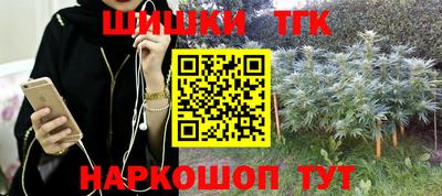 jwh Гатчина