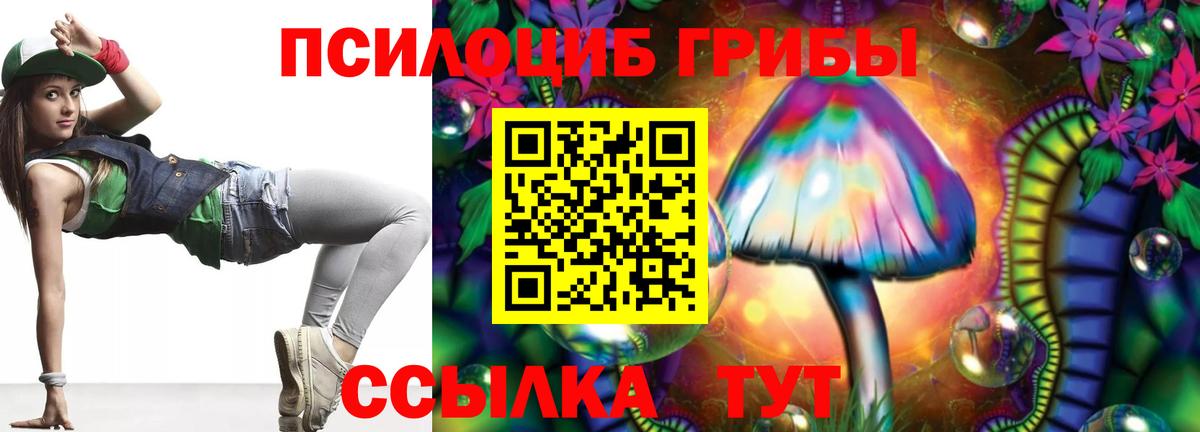 Псилоцибиновые грибы MAGIC MUSHROOMS  Вход с VPN  Псилоцибиновые грибы прущие грибы  Мыски 